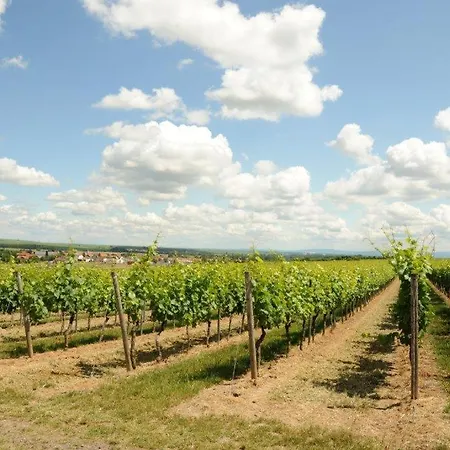 Winzerhotel Kinges-kessel Gbr 3*