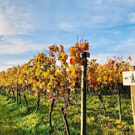 Winzerhotel Kinges-kessel Gbr Morstadt