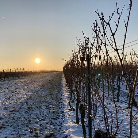 Winzerhotel Kinges-kessel Gbr 3* Morstadt