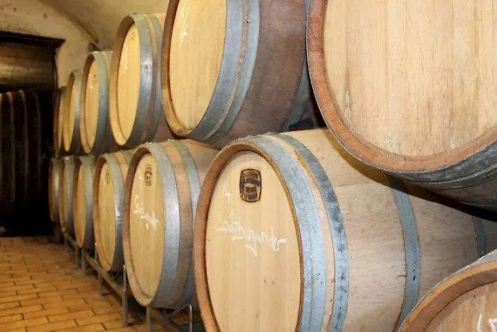 Hotell Winzerhotel Kinges-kessel Gbr