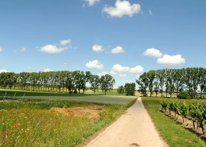 Winzerhotel Kinges-kessel Gbr Hotell 3*