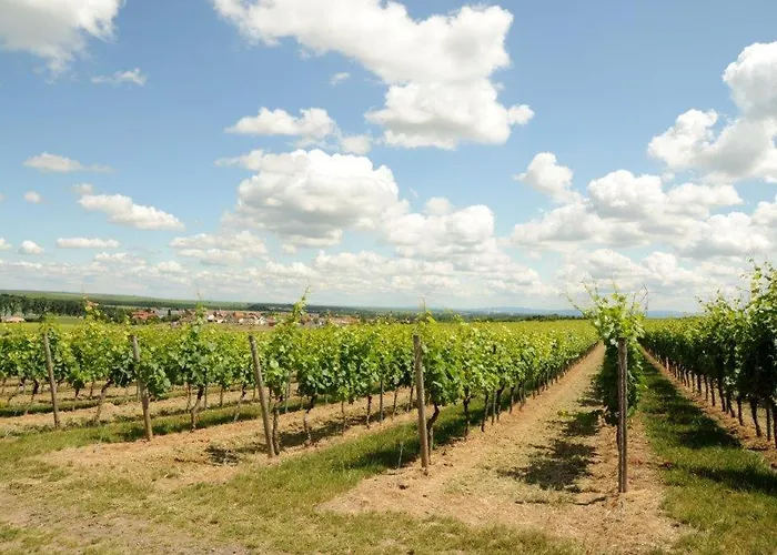 Winzerhotel Kinges-kessel Gbr 3*