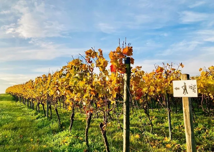 Winzerhotel Kinges-kessel Gbr Morstadt